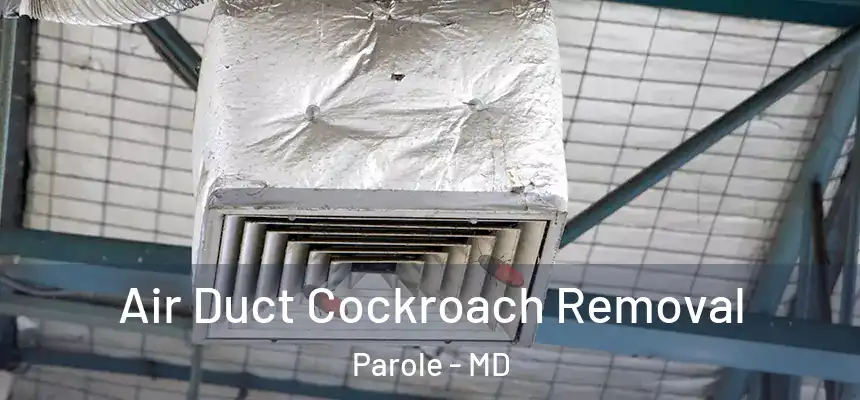  Air Duct Cockroach Removal Parole - MD