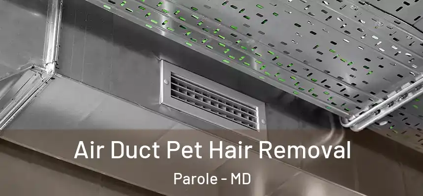  Air Duct Pet Hair Removal Parole - MD