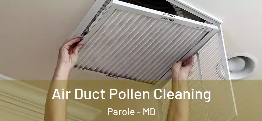  Air Duct Pollen Cleaning Parole - MD