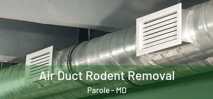  Air Duct Rodent Removal Parole - MD
