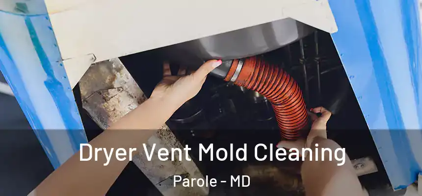  Dryer Vent Mold Cleaning Parole - MD