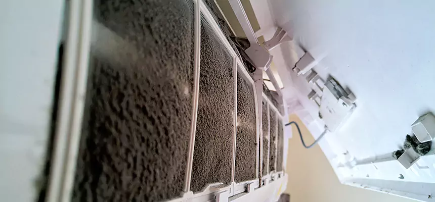 Preventive Air Duct Bacteria Removal in Parole