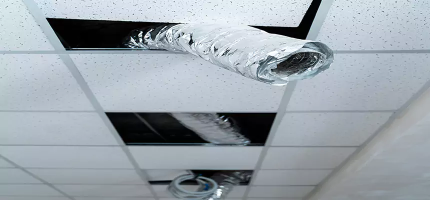 Affordable HVAC Sanitizing After Pest Removal in Parole