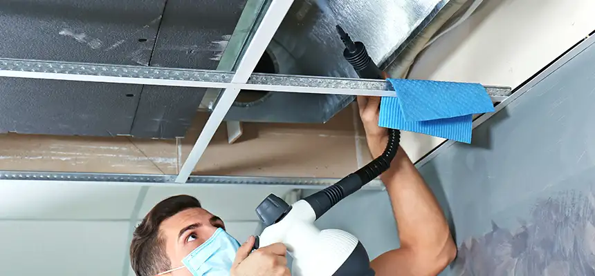 Our Air Duct Rodent Removal Services in Parole, MD
