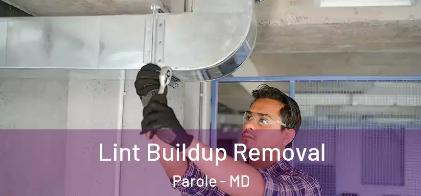  Lint Buildup Removal Parole - MD