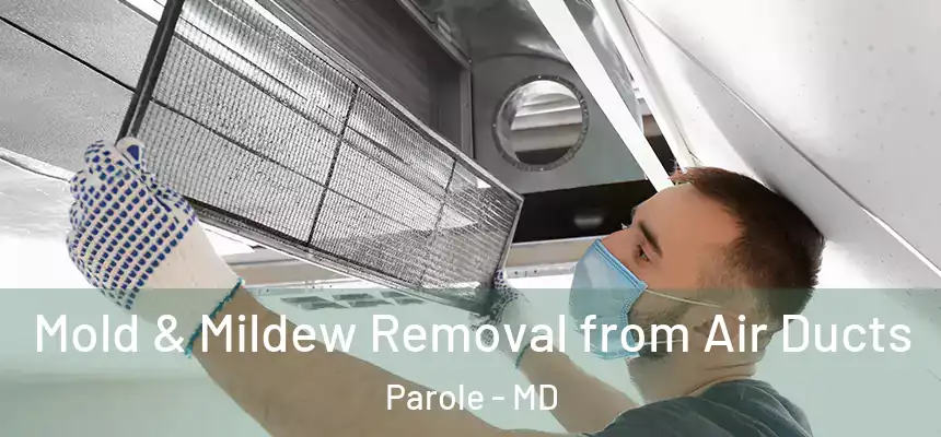  Mold & Mildew Removal from Air Ducts Parole - MD