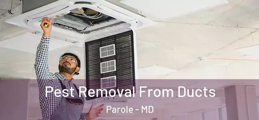  Pest Removal From Ducts Parole - MD