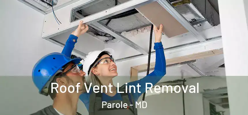  Roof Vent Lint Removal Parole - MD