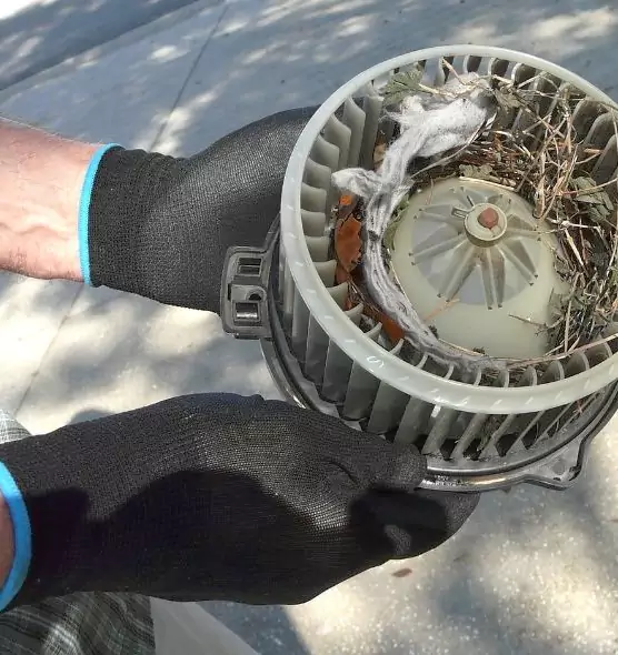 About Air Duct Mice Removal in Parole, MD