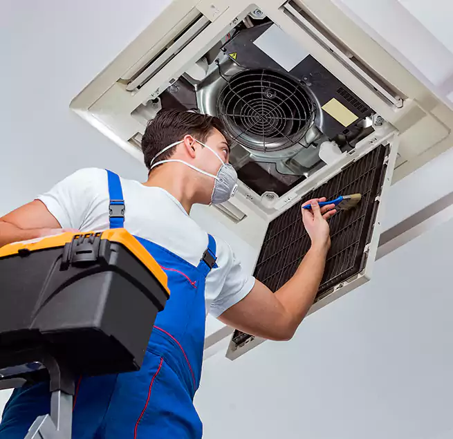 Why Homeowners & Businesses Trust Us in Parole, MD